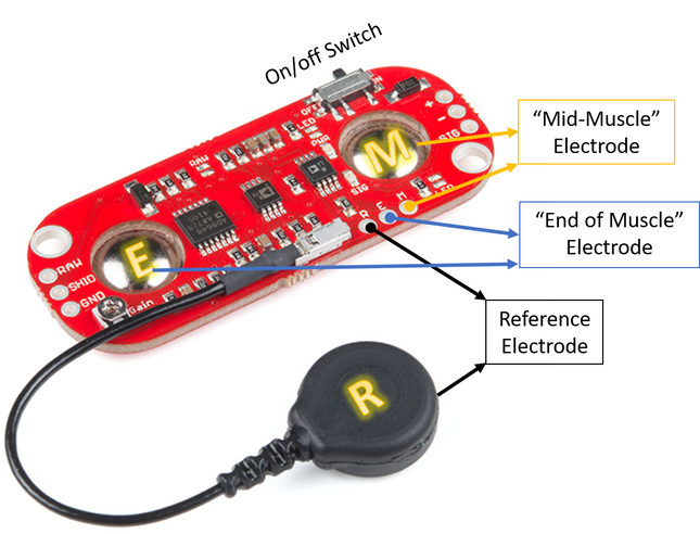 Myoware muscle sensor#31