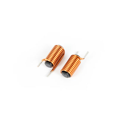 12µH 6x30mm هێڵکێشی موگناتیسی تەوەرەی ئاسۆیی #B4.2